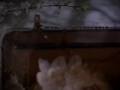from jim byrnes album, fresh horses, just a pilgrim. produced by two story productions. 

winner of canadian spotlight awards' best music video of the year, 2006.