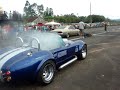 Cobra da Nytron Cobra da Nytron