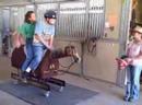 Cody rides Dallas II
