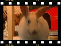 Funny Clip Mix (adversities) Funny Clip Mix (adversities)