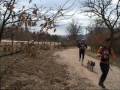 Canicross de Soria
