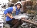 ALASKA ADVENTURES with Paul Proios