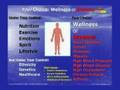 3. Medical Conference: Beat, Reverse, Cure Type 2 Diabetes [The Diabetes Engineer]