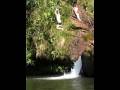 videos de Perereca albina na cachoeira do muquem.