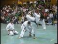 Karate Do - Einführung