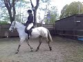--READ PLEASE!!--My 3rd lesson on Daisy. I've also ridden Treacle but didn't get any photos, and this Saturday I'm overcoming my hacking nerves to venture out into Richmond Park :) [it has herds of wild deer and looks extra pretty this time of year, especially when it's misty :D and it's basically 30 seconds from Stag Lodge!] look:http://flickr.com/groups/richmondpark/pool/some of these photos are beautiful!The lesson in this video was in the really small school so all the circles are tiny, the short sides are very short and I had a tricky job keeping her vaguely bent as well as in canter or trot. My toes seem to point outwards (probably a habit from ballet :S) but overall my confidence is improving fast and it's all because of this gorgeous grey pony.Daisy.she's not perfectjust like her riderbut when i canter hereverything seems to go right :)YOUTUBE I DO NOT OWN OR CLAIM TO OWN THE MUSIC! MATERIAL IS USED UNDER THE GUIDELINES OF 