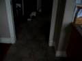 Yoda & Creamo Carton - Segment 2