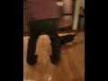 Funny mein Hund und ich putzen