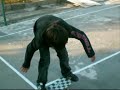 skate fundao