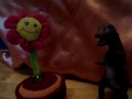 MOV01107