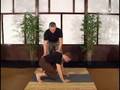 Scott Sonnon Intuflow Intermediate Part 4