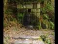 GALICIA: FRAGAS DO EUME / RASPBERRIES OF THE EUME