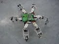 Hexapod Robot L�beck