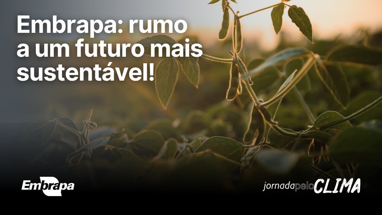 Embrapa: rumo a um futuro mais sustentável (versão curta- inglês)