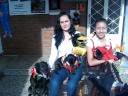 HALLOWEEN DE LAS ADOPCIONES