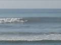 videos de Costa Rica Jan 4 2009 Surfing Reef Footage