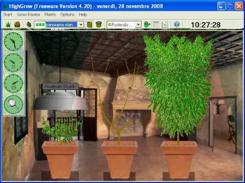 Highgrow