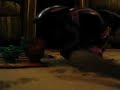 digimonrules98 old and new bakugan