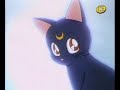 Sailor Moon opening català Sailor Moon opening català