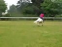 devon &magic xc at gg centre