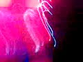The Cure M�xico 2007 - The Hanging Ganden (con Celular)