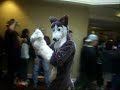 Further Confusion 2008 Fursuit Parade Part 1 of 2