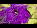 musica relajante para, trabajar, estudiar, concentrarse, leer, hacer tareas, meditar, yoga, pilates.