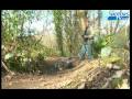 Freeride mode car HPI Savage Flux