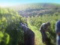 Sicily Food and Wine Agriturismo Tarantola