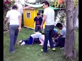 Paleta humana