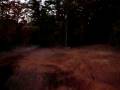 me riding my rmz 250