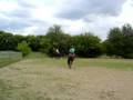 videos de Horseback riding
