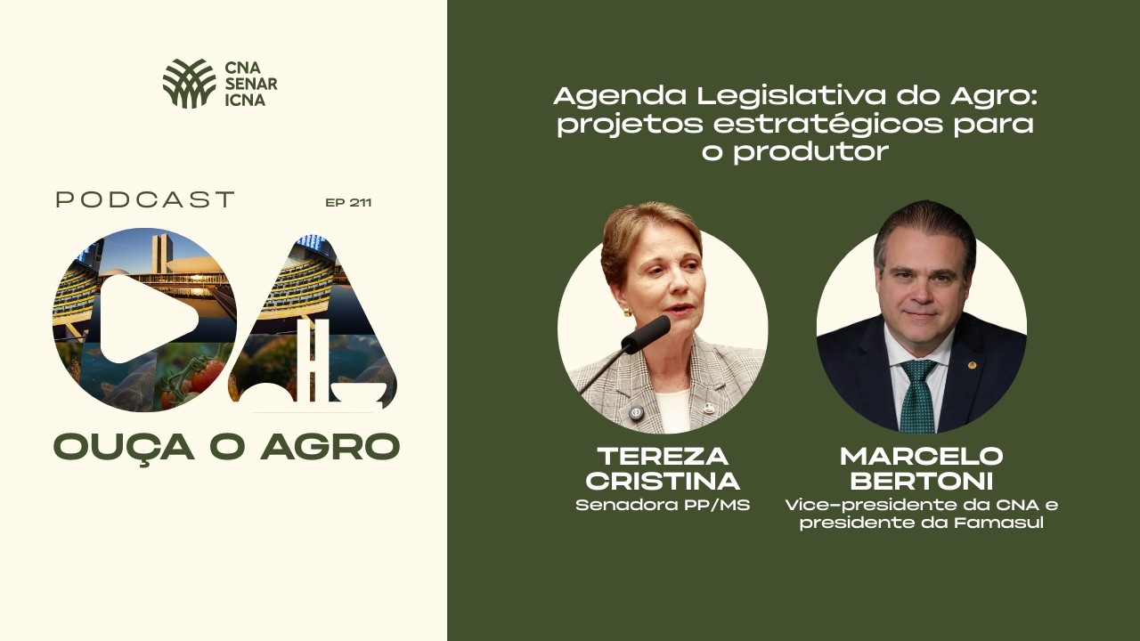 OUÇA O AGRO 211 - Agenda Legislativa do Agro: projetos estratégicos para o produtor