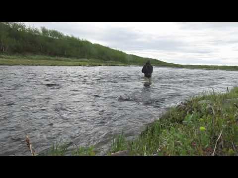 See video in full resolution