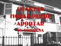 biblioteca para ciegos proyecto si oyentes 