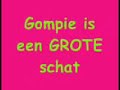 gompie is een shetlander van 10 jaar 

het liedje in dit filmpje heet he's a pirate van pirates of the caribbean