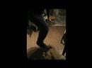 toi-nicolas-dehaut.html