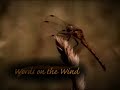 Words On The Wind 30-Second Promotional Spot