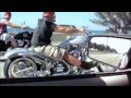 BOURGET FAT DADDY CHOPPER