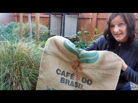 video-linktoworks-Grow Vegetables and Fruit in Burlap Sacks | Many...