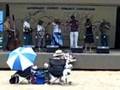 The Southern String Band Plays Cumberland Gap