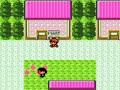 Hoppip Only Run: Routes 30 and 31