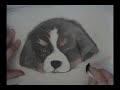 Berner Art