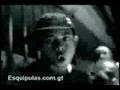 gansta-zone-daddy-ya