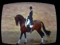 Andreas Helgstrand og Blue Hors Romanov i Herning 08 !:)