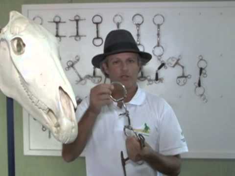 EMBOCADURA - Os instrutores e treinadores que lidam com o marchador alertam: cuidado com certos artifícios usados pra obter maior rendimento do seu Marchador. Usados inde...