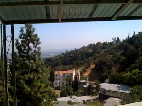 Link to the Video