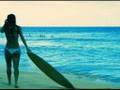 Despe & Siga - Surf em Portugal