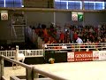 rallye-cheval.html