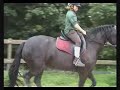 Mellany op Tamar